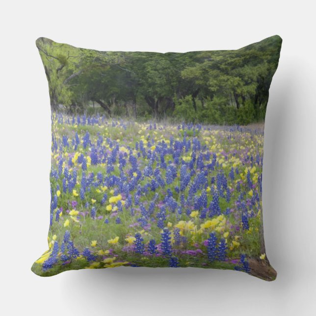 Blåbon, fackelblomster och flox kudde (Framsida)