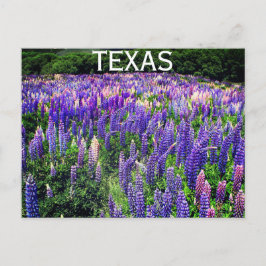 Blåbonets Blå Blommor Texas Texan Blommig Vykort