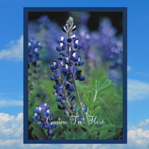 Blåbonnens fält Blå blomma Texas stat Vykort
