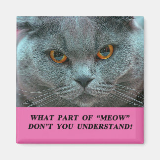 Blåbrittisk Shorthair Cat-kylmagnet Magnet