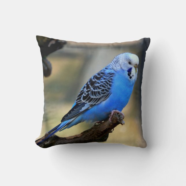 Blåbudgie Parrot Bird Kudde (Framsida)