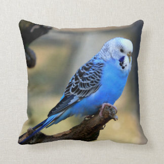 Blåbudgie Parrot Bird Kudde