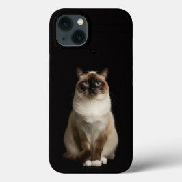 Black 4 Luxe iPhone 13, Birmanese Cat