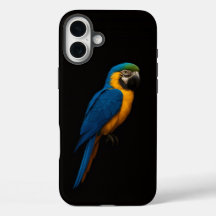 Black 4 Luxe iPhone 16 Plus, Blue Yellow Macaw