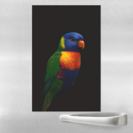Black 4 Luxe Magnetic Sheet, Lorikeet Parrot