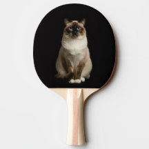 Black 4 Luxe ping pong paddle, Birmanese Cat