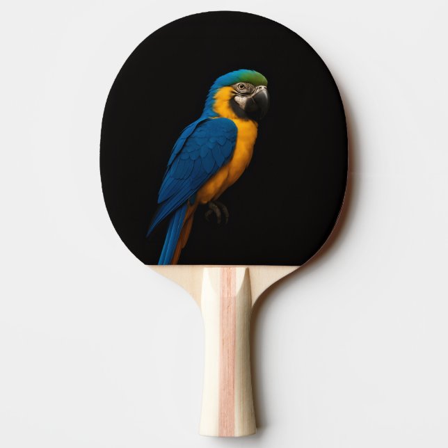 Black 4 Luxe ping pong paddle, Blue Yellow Macaw Pingisracket (Baksidan)