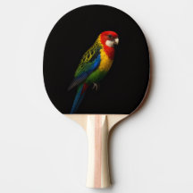 Black 4 Luxe ping pong paddle, Eastern Rosella