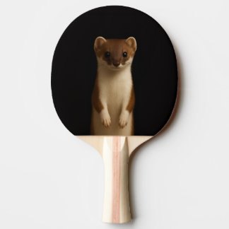 Black 4 Luxe ping pong paddle, Elegant Weasel Pingisracket