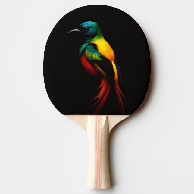 Black 4 Luxe ping pong paddle, Rainbow Bird Pingisracket (Baksidan)