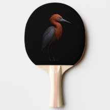 Black 4 Luxe ping pong paddle, Reddish Egret