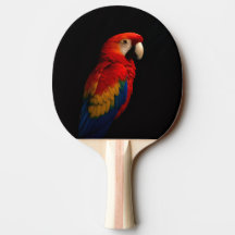 Black 4 Luxe ping pong paddle, Scarlet Parrot