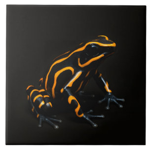 Black 4 Luxe Tile med Black Orange Tropical Frog Kakelplatta