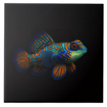 Black 4 Luxe Tile med mandarin Dragonet Fish