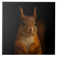 Black 4 Luxe Tile med Red Squirrel