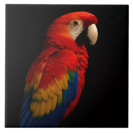 Black 4 Luxe Tile med Scarlet Parrot Kakelplatta