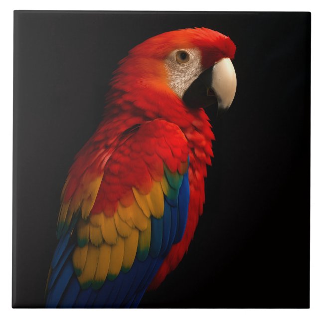 Black 4 Luxe Tile med Scarlet Parrot Kakelplatta (Framsidan)