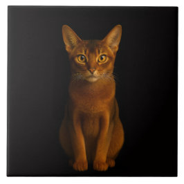 Black 4 Luxe Tile with Abyssinian Beauty Kakelplatta