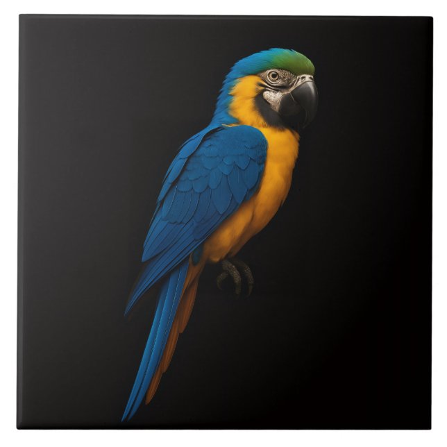Black 4 Luxe Tile with Blue Yellow Macaw Kakelplatta (Framsidan)