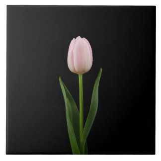 Black 4 Luxe Tile with Blush Pink Tulip Kakelplatta