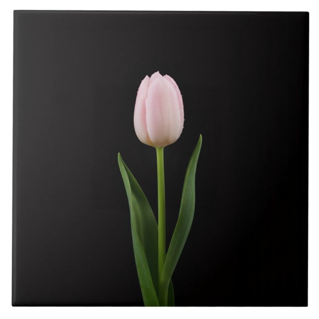 Black 4 Luxe Tile with Blush Pink Tulip Kakelplatta (Framsidan)