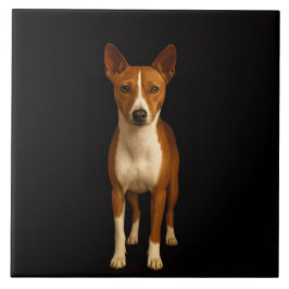 Black 4 Luxe Tile with Classy Basenji Dog Kakelplatta