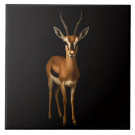 Black 4 Luxe Tile with Elegant Gazella Kakelplatta