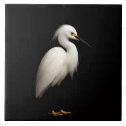 Black 4 Luxe Tile with Elegant Snowy Egret Kakelplatta