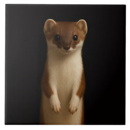 Black 4 Luxe Tile with Elegant Weasel Kakelplatta