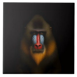 Black 4 Luxe Tile with Exotic Mandrill Monkey Kakelplatta