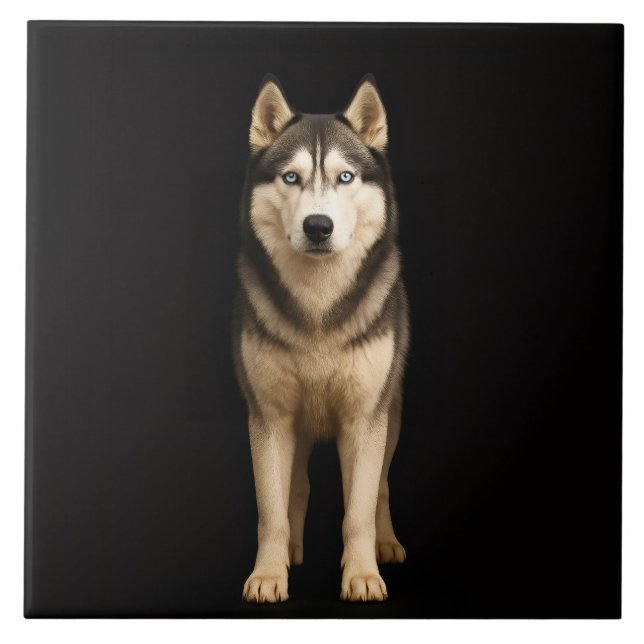Black 4 Luxe Tile with Icy Elite Husky Kakelplatta (Framsidan)