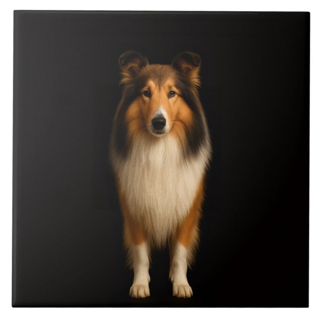 Black 4 Luxe Tile with Loyal Collie Dog Kakelplatta (Framsidan)