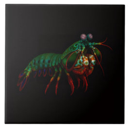 Black 4 Luxe Tile with Mantis Shrimp Kakelplatta