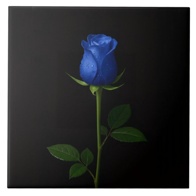 Black 4 Luxe Tile with Midnight Blue Rose Kakelplatta (Framsidan)