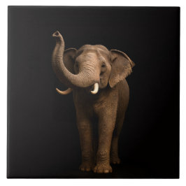 Black 4 Luxe Tile with Mighty Elephant Kakelplatta