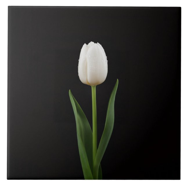 Black 4 Luxe Tile with Pearl White Tulip Kakelplatta (Framsidan)