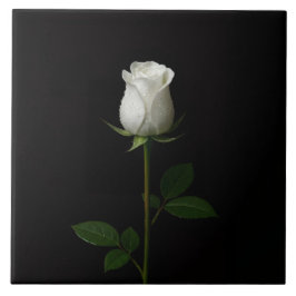 Black 4 Luxe Tile with Pure White Rose Kakelplatta