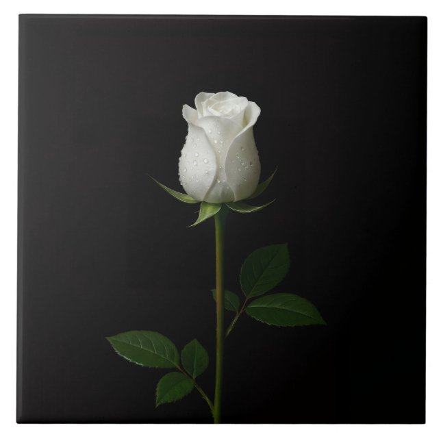 Black 4 Luxe Tile with Pure White Rose Kakelplatta (Framsidan)
