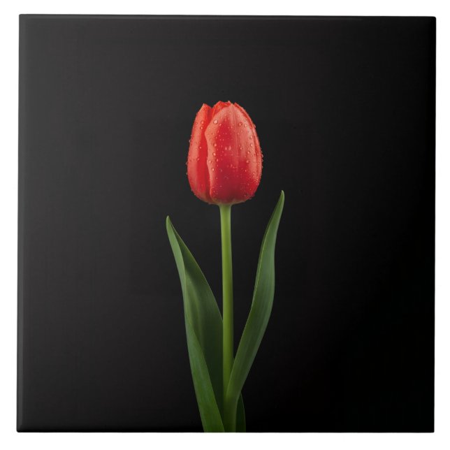 Black 4 Luxe Tile with Ruby Red Tulip Kakelplatta (Framsidan)
