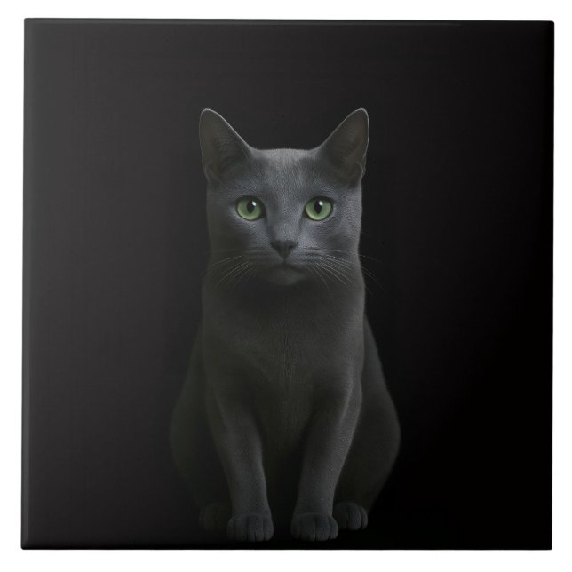Black 4 Luxe Tile with Russian Blue Cat Kakelplatta (Framsidan)