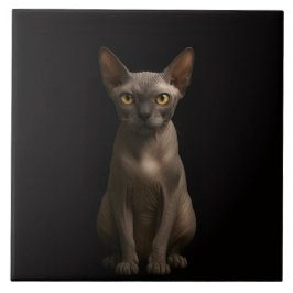 Black 4 Luxe Tile with Sphynx Cat Kakelplatta