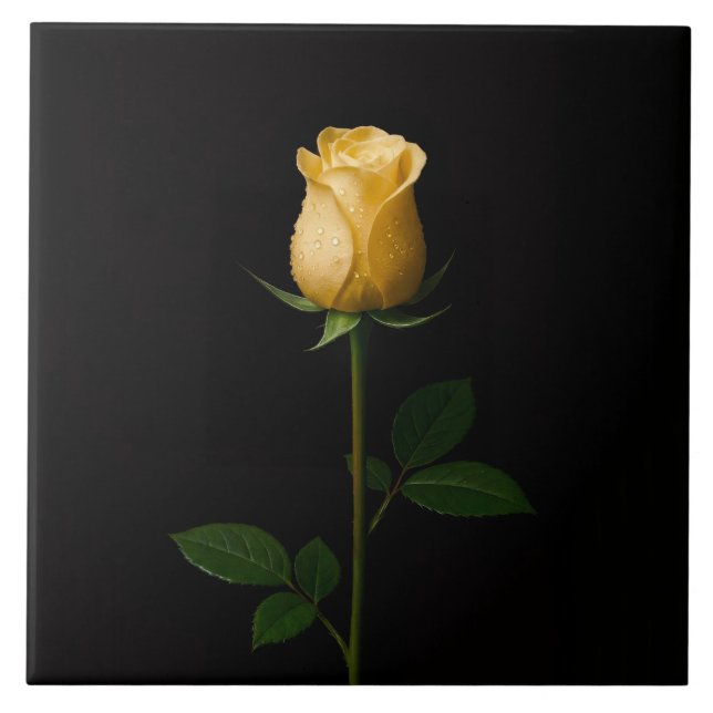 Black 4 Luxe Tile with Sunlit Yellow Rose Kakelplatta (Framsidan)