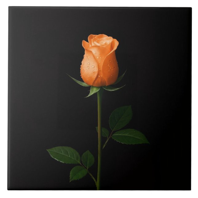 Black 4 Luxe Tile with Sunset Orange Rose Kakelplatta (Framsidan)