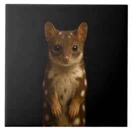 Black 4 Luxe Tile with Sweet Quoll Kakelplatta