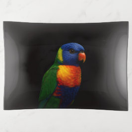 Black 4 Luxe trinket tray, Lorikeet Parrot