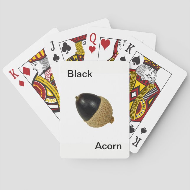 Black Acorn-kort Casinokort (Baksidan)