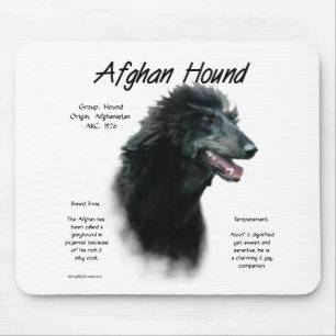 Black Afghan Hound History Musmatta