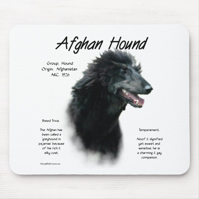 Black Afghan Hound History Musmatta (Framsidan)