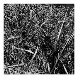 Black Alien Grass Perfect Poster