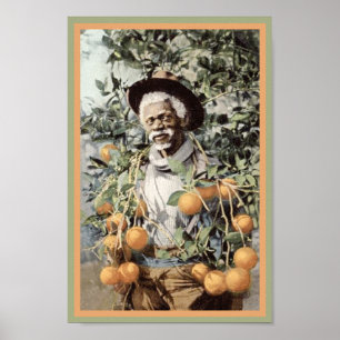 Black America Vintage Nan i Orange Grove Poster